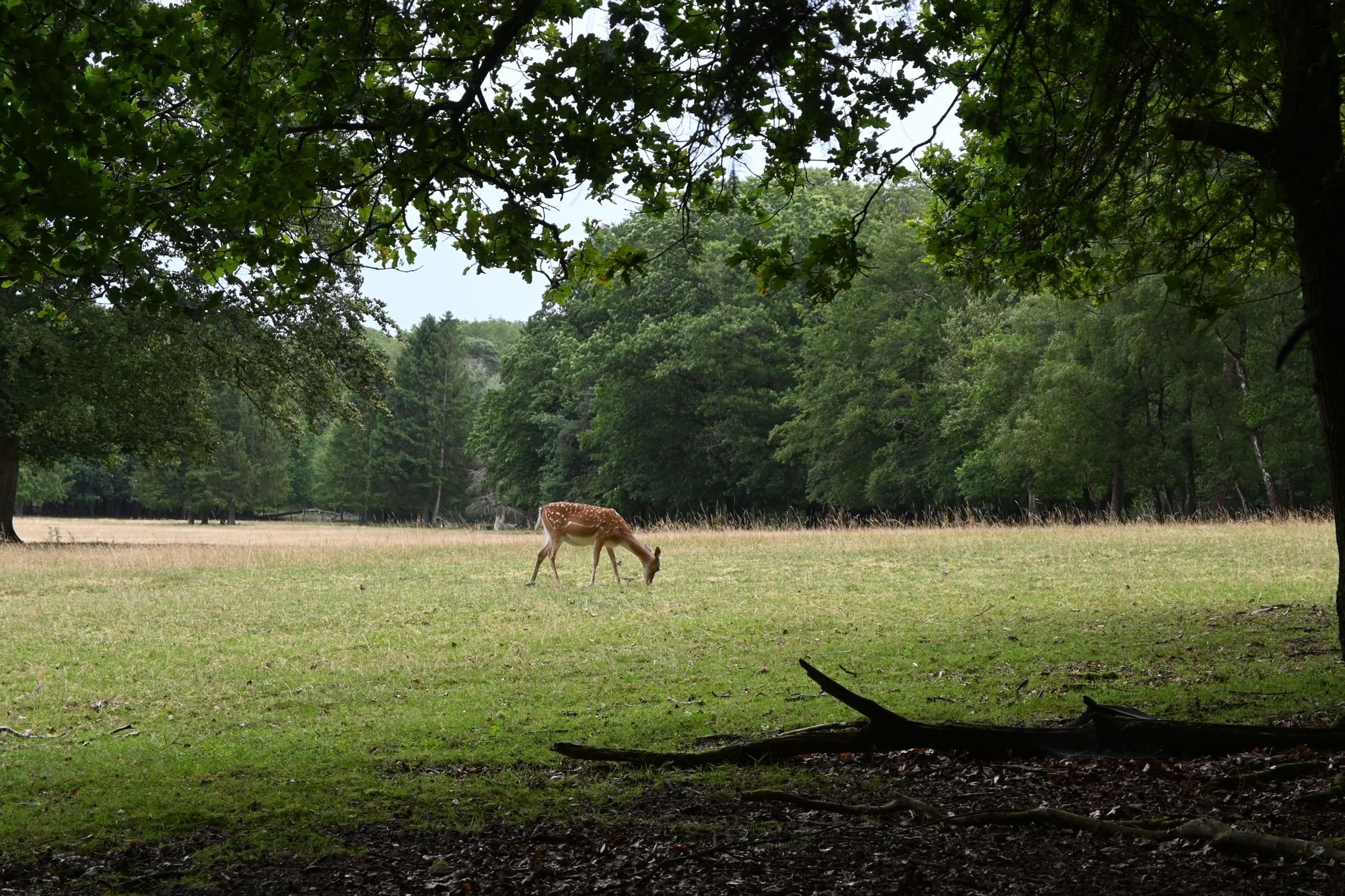 Een paar dagen ertussenuit, met rust en natuur binnen handbereik