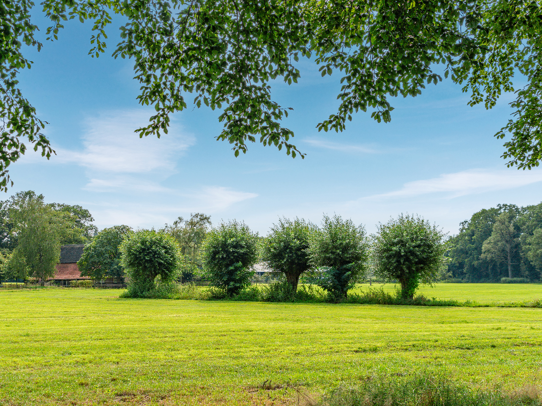 Hof_Van_Twente_2025_foto_022