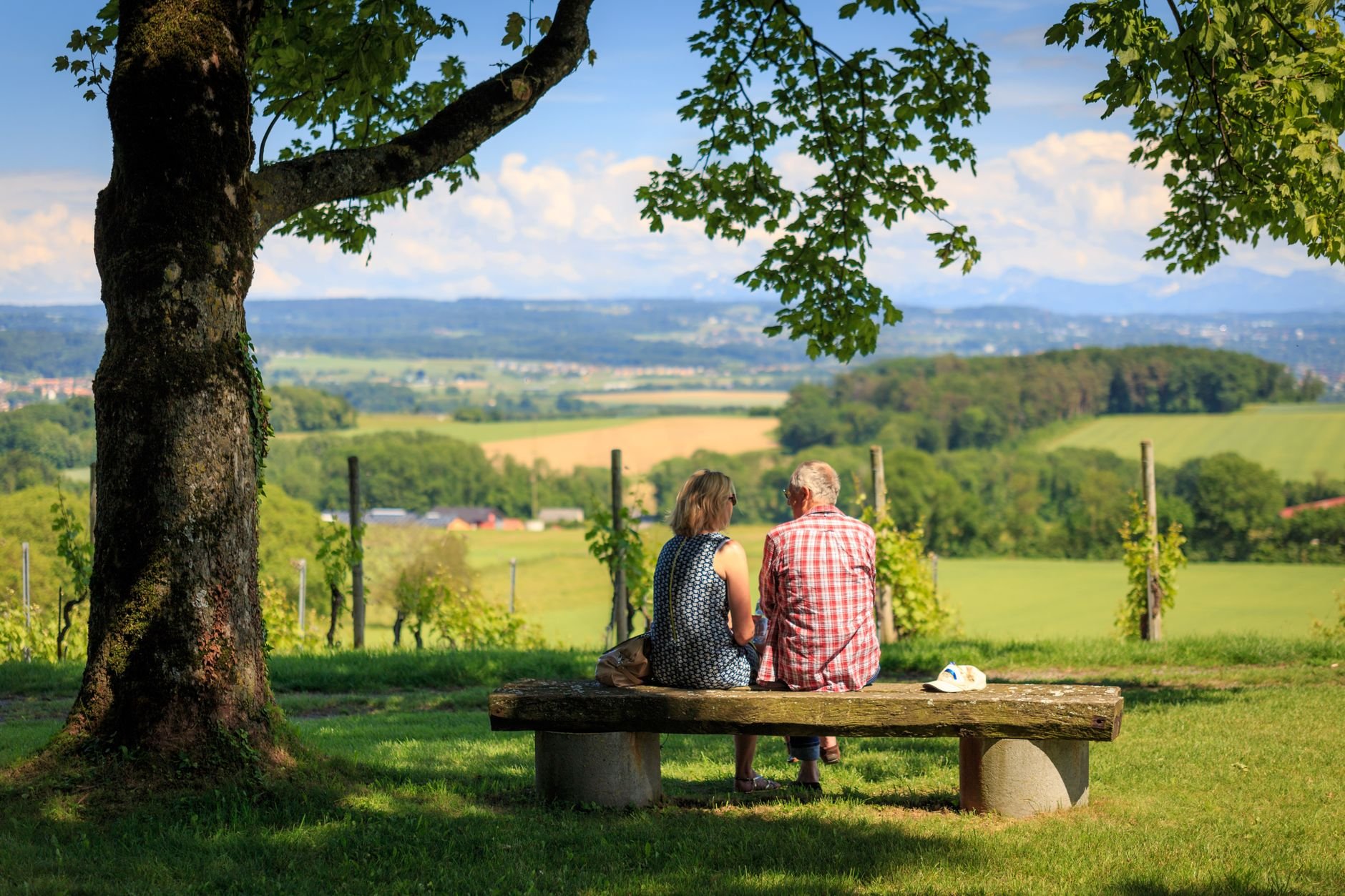 De natuur als achtertuin: ontdek sfeervolle Enjoyhotels