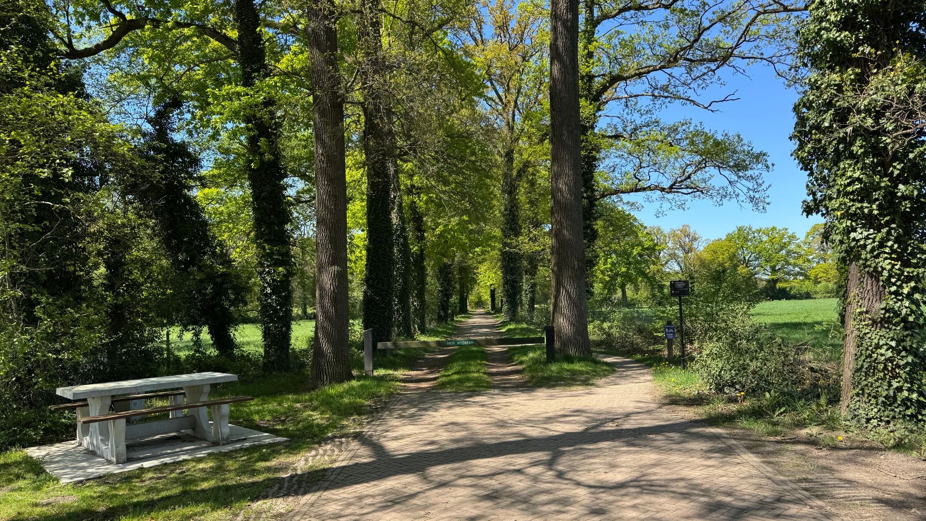 Kurze Wanderungen zu den schönsten Plätzen der Niederlande