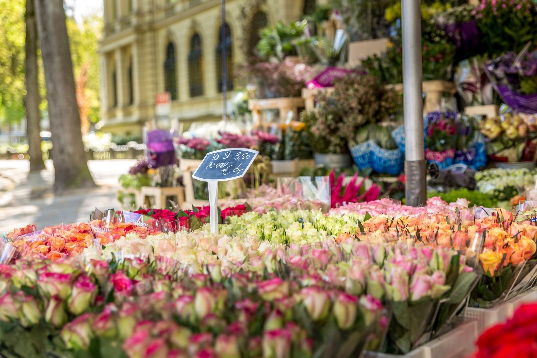 Gemütlich über den Markt schlendern: Niederländische Wochenmärkte rund um Ihr Enjoyhotel entdecken