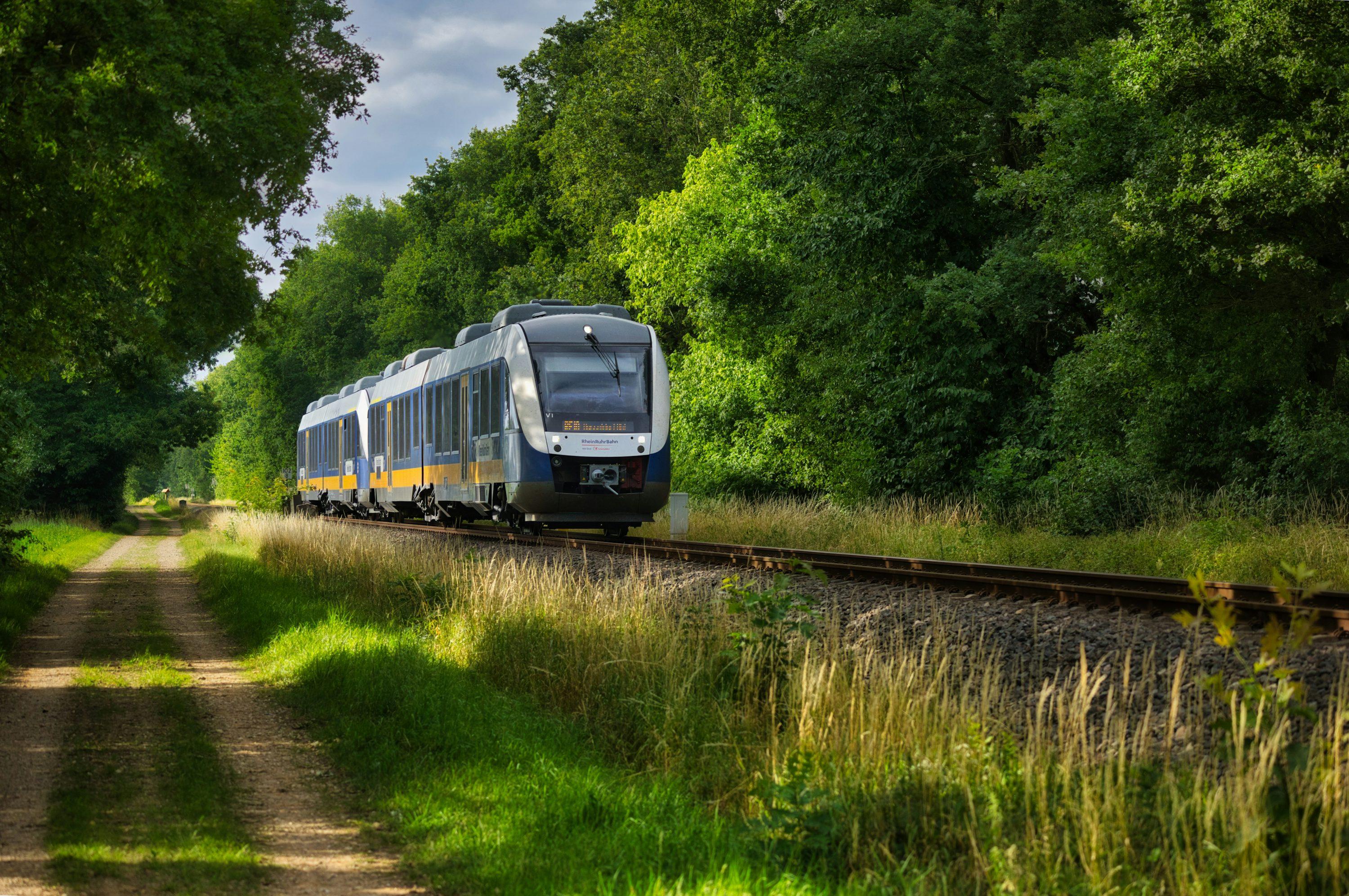 Steigen Sie ein und entdecken Sie drei deutsche Ferienregionen – kostenlos mit Bus und Bahn