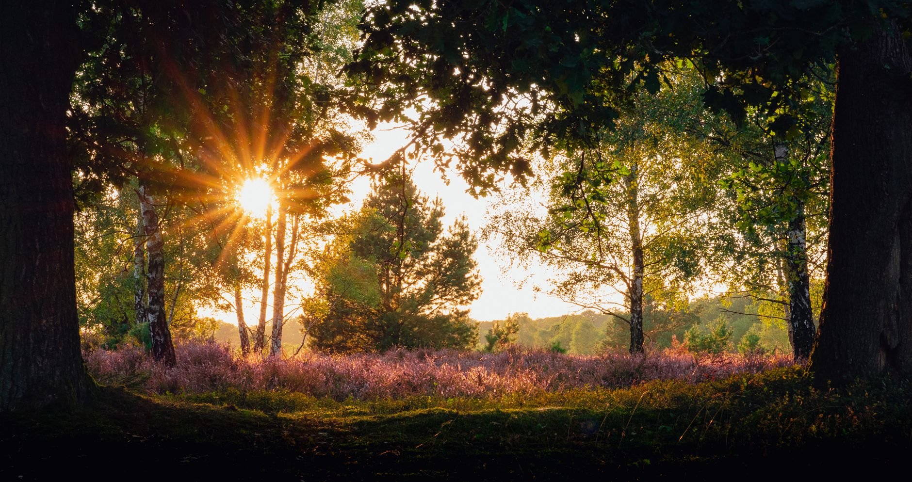 Wo Wälder und Heide endlos scheinen – Enjoy Landhotel Michaelishof