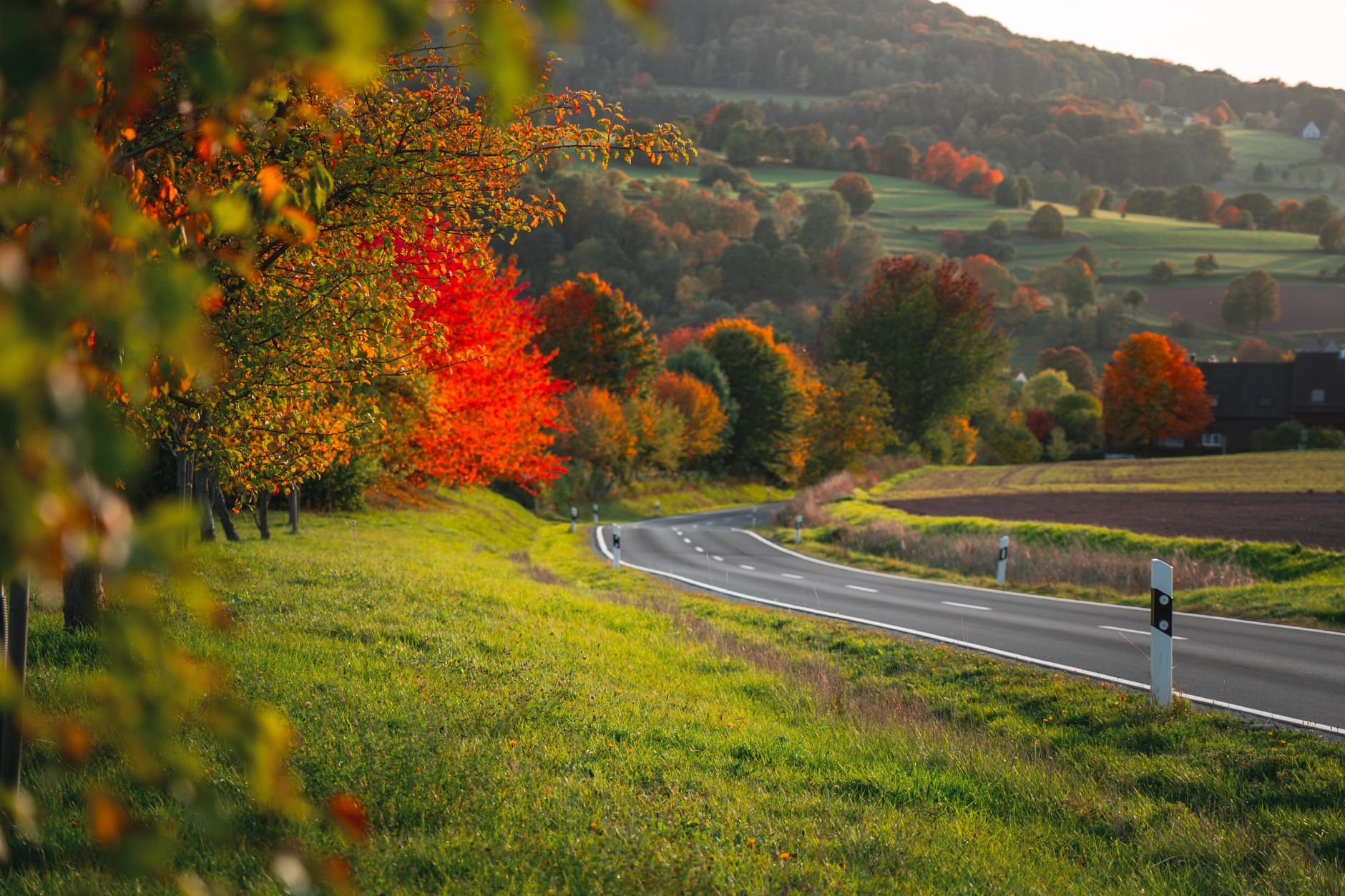 Goldener Herbst im Sauerland: Wälder, Berge und Weitblicke