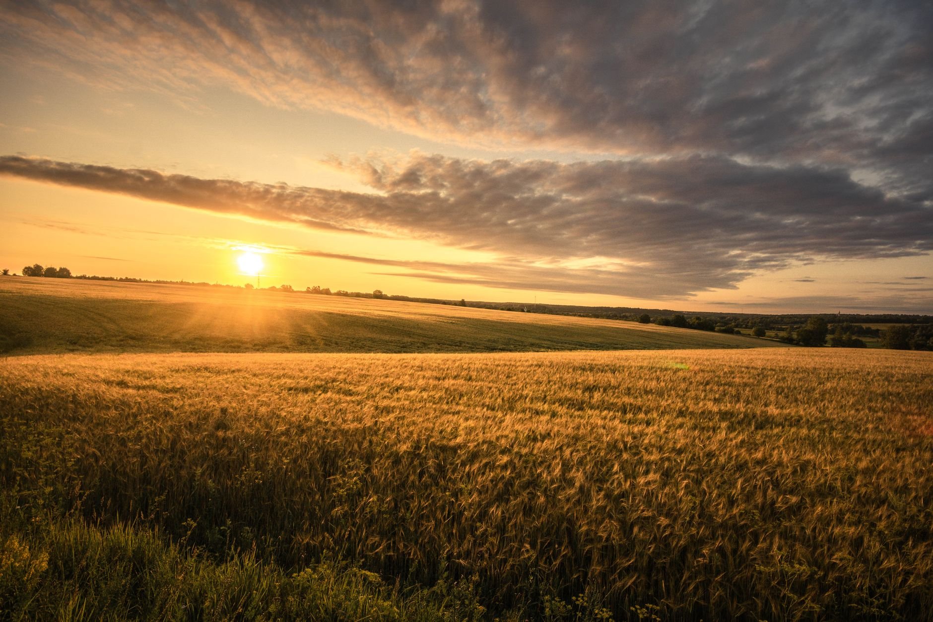 De heuvels kleuren goud: de dag afsluiten in het avondlicht