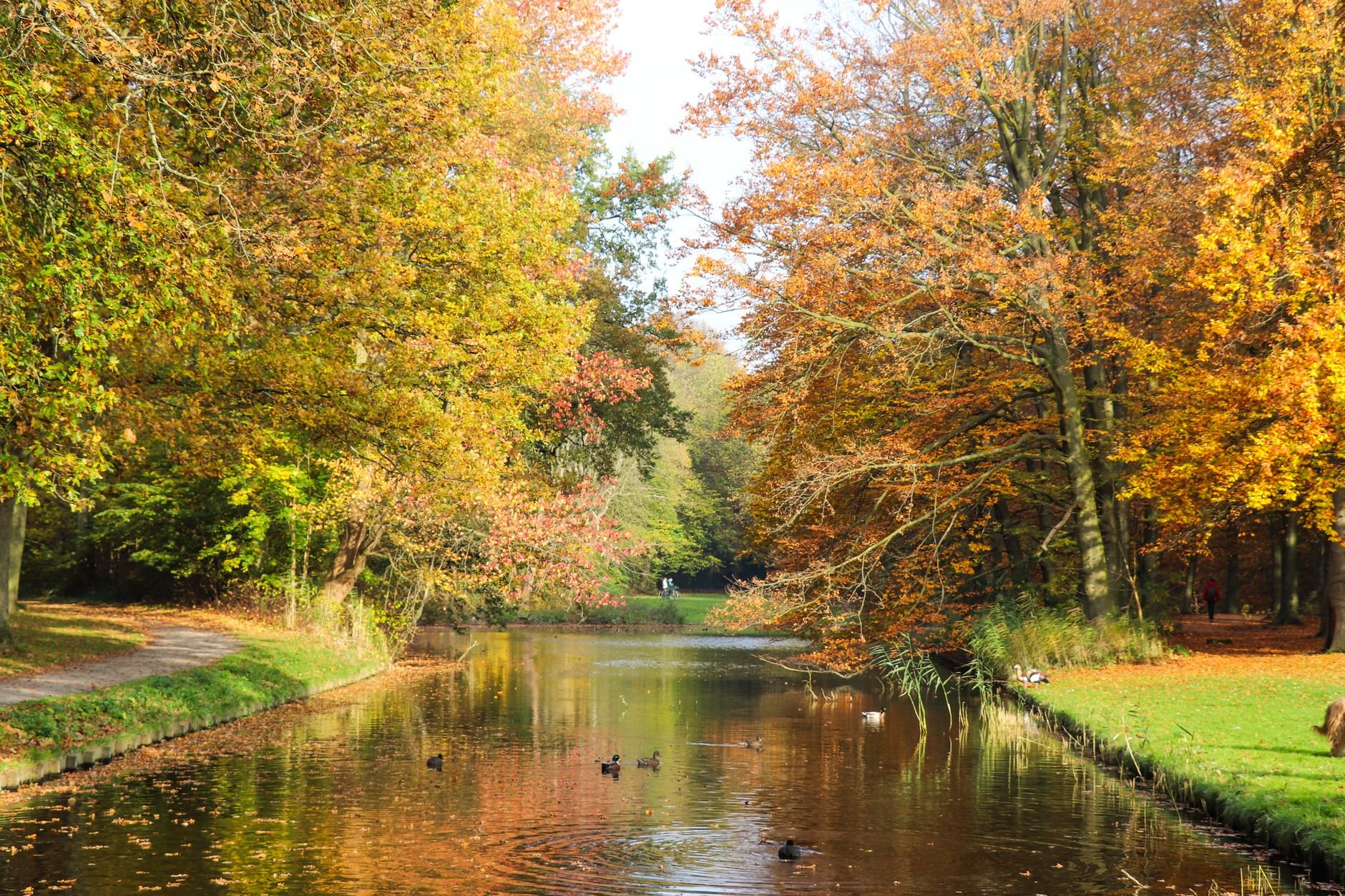 Genieten van prachtige herfstkleuren tijdens een 5-daags alles-inclusief-arrangement