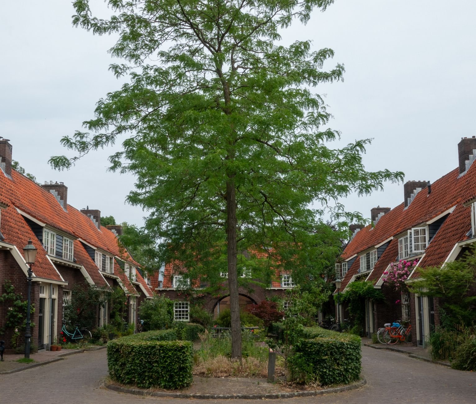 Achter het poortje wacht iets moois – ontdek de hofjes van Nederland