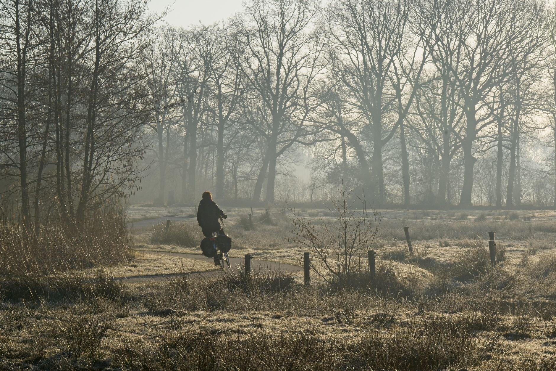 Fietsvakantie in Drenthe