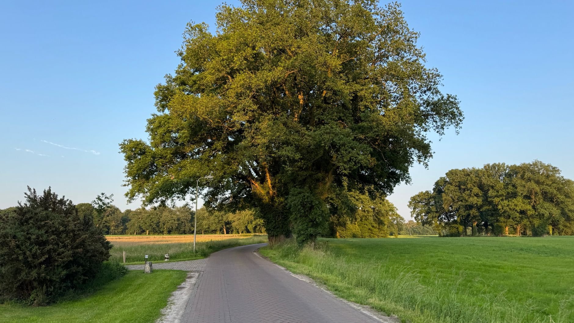 Het mooiste van Nederland vindt u ook onderweg – autoroutes vanuit uw Enjoyhotel