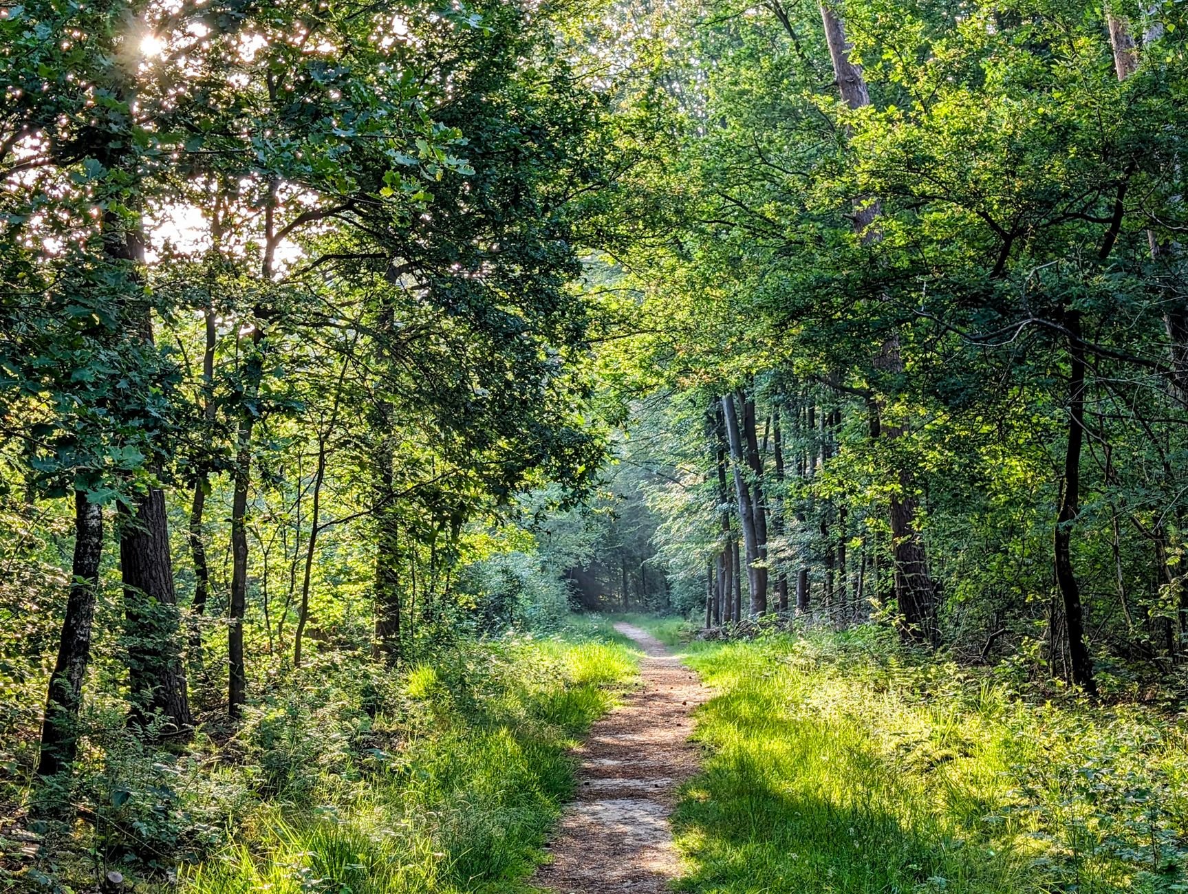 Durch herrliche Natur wandern und zur Ruhe kommen