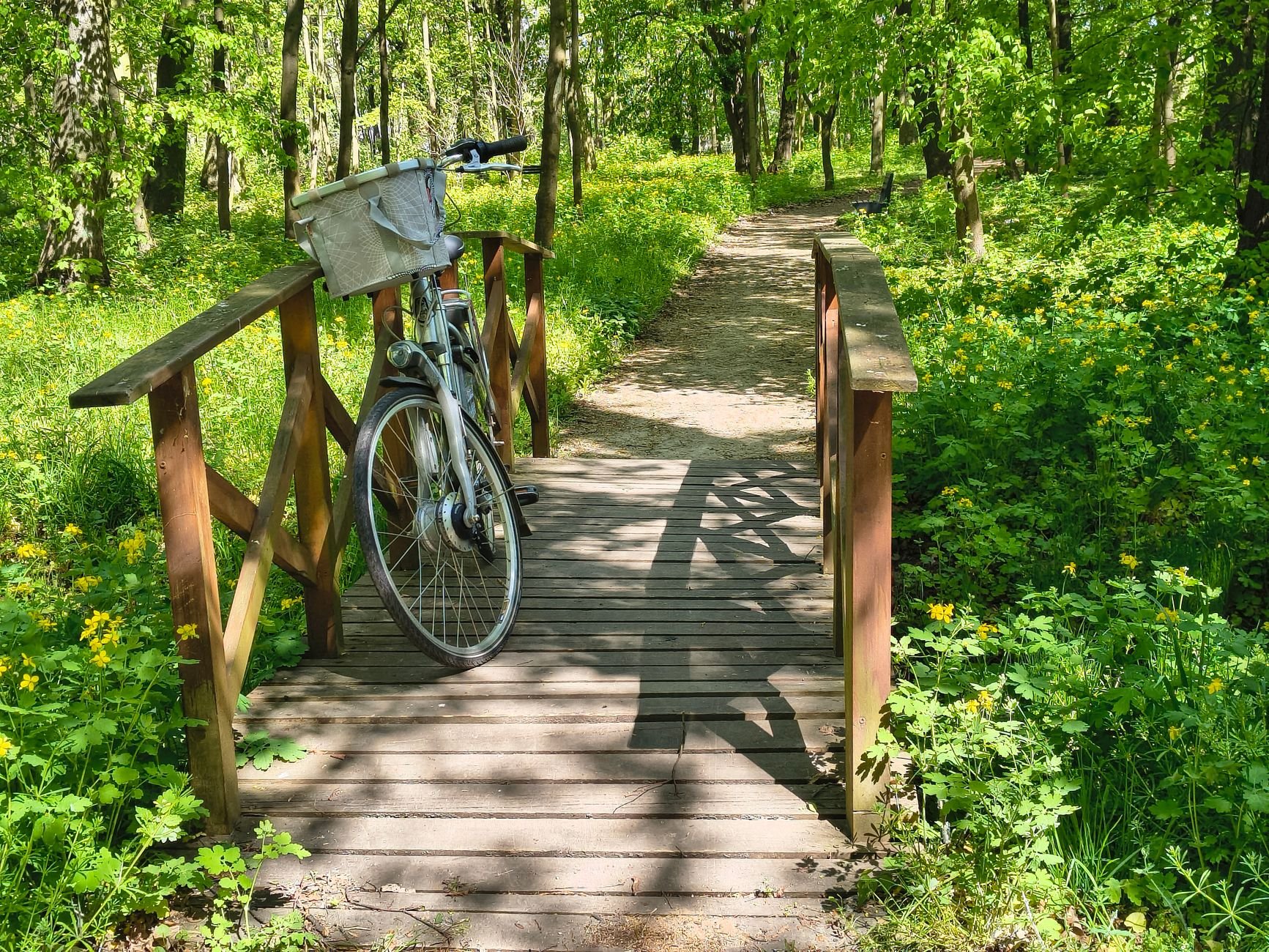 Neem uw e-bike mee en ontdek de mooiste fietsroutes van Nederland
