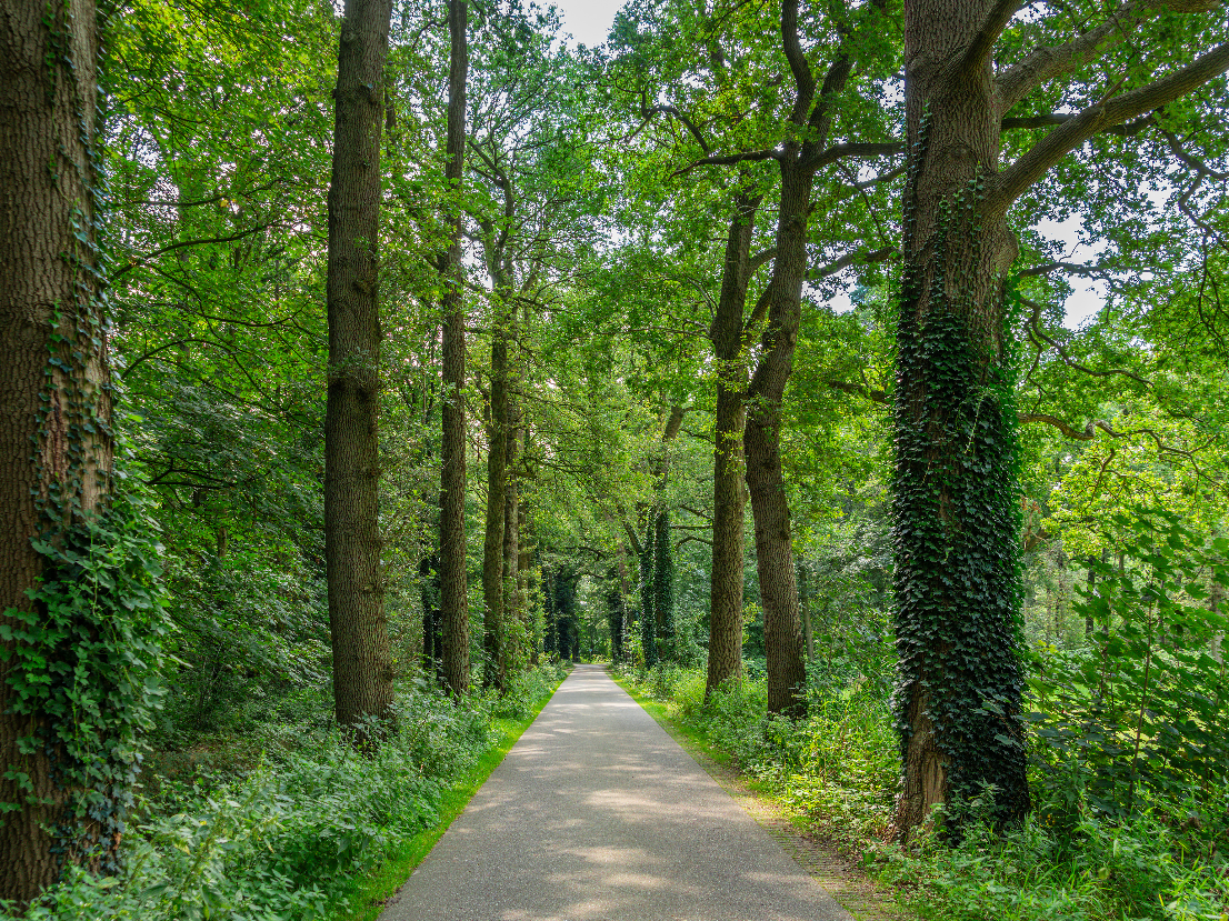 Hof_Van_Twente_2025_foto_023