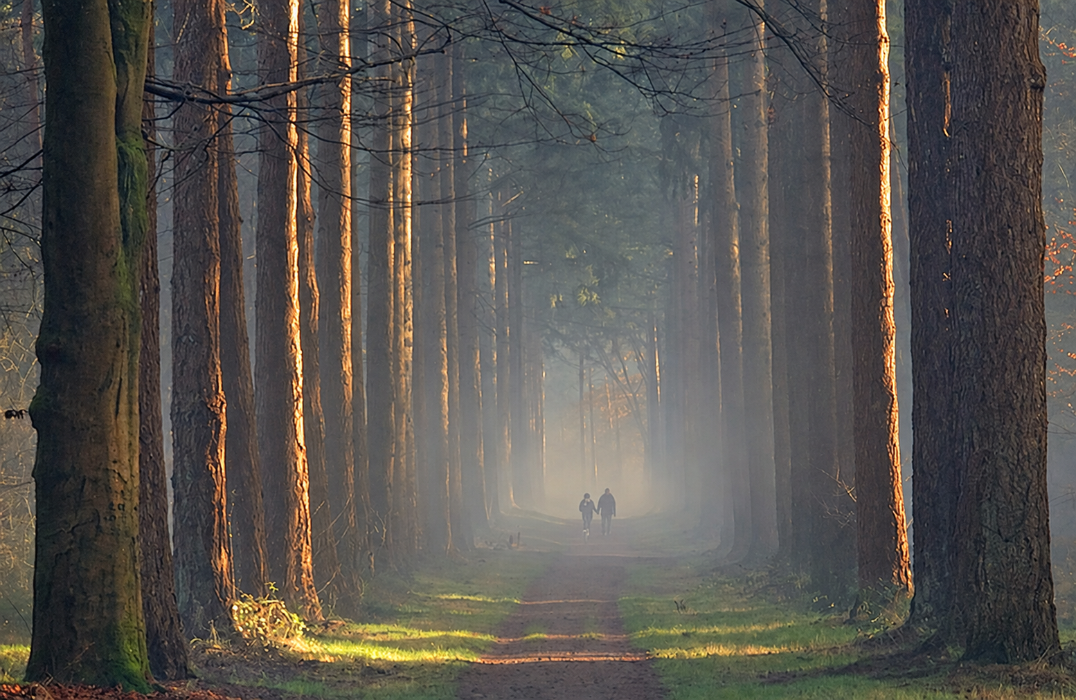 Maak het gezellig deze winter – een paar heerlijke dagen weg in Nederland