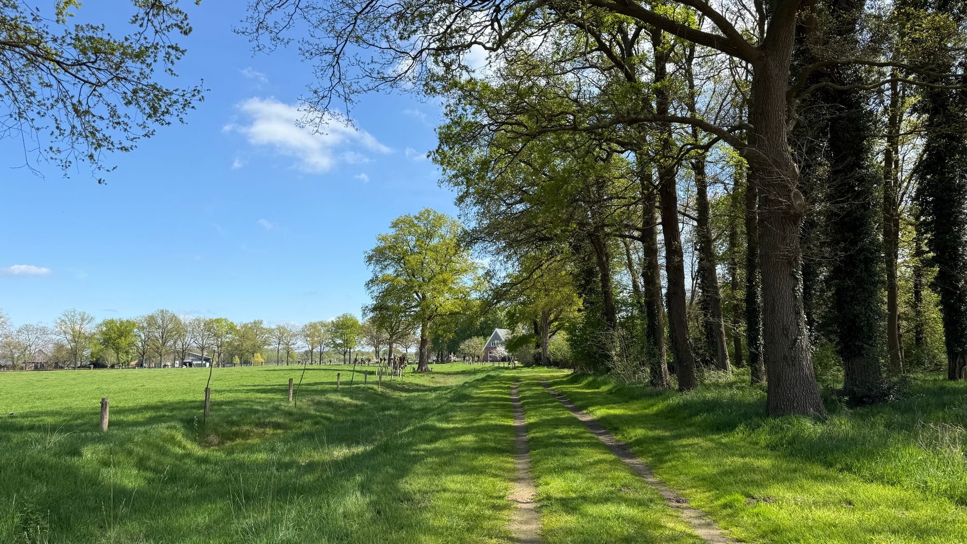 Verblijven in Overijssel; natuur, kastelen en comfort in Twente