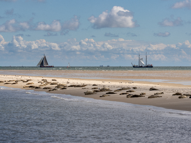 Ameland of Vlieland: twee Waddeneilanden met ieder een eigen charme