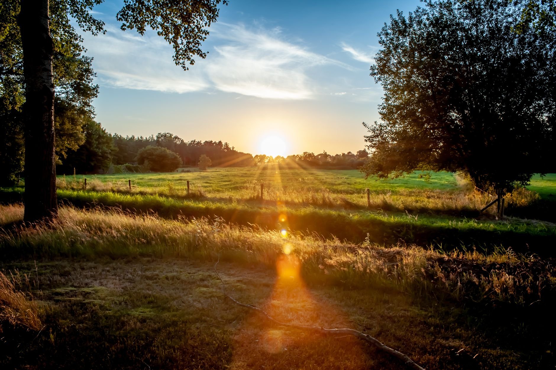 Genieten van de late zomer, begin herfst: last minute fietsvakantie Nederland