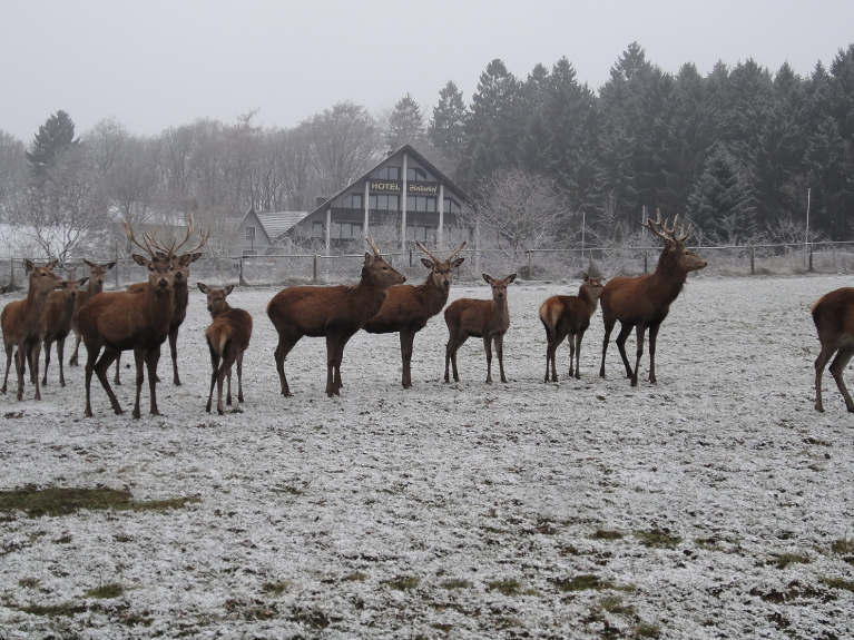 Heiderhof-Presentatie-009