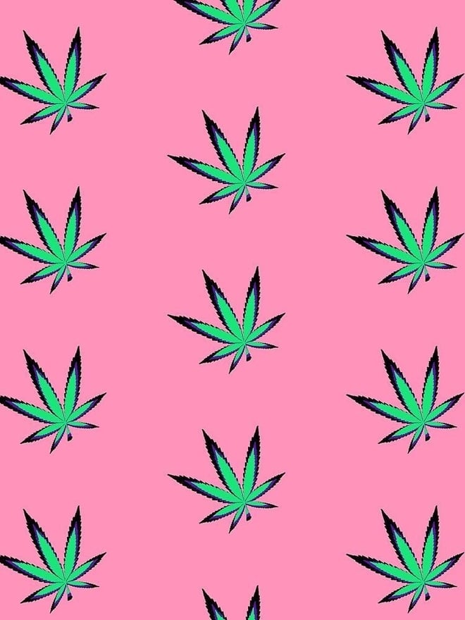 Pink background decorated with multiple green cannabis leaves in a repeating pattern.