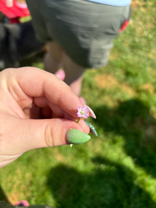 psych0s0m4t1c's Header