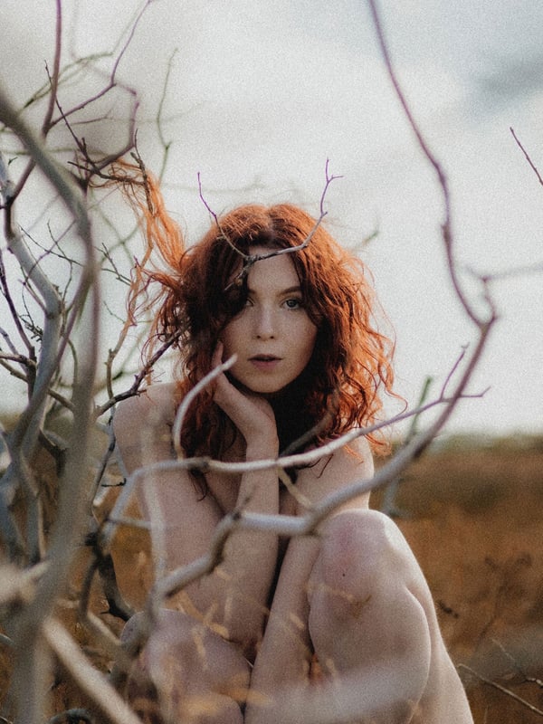 A woman with long red hair posing nude among dry branches in an outdoor setting.