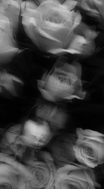 makayla-mariee's Header