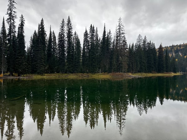 bigtittymex's Header