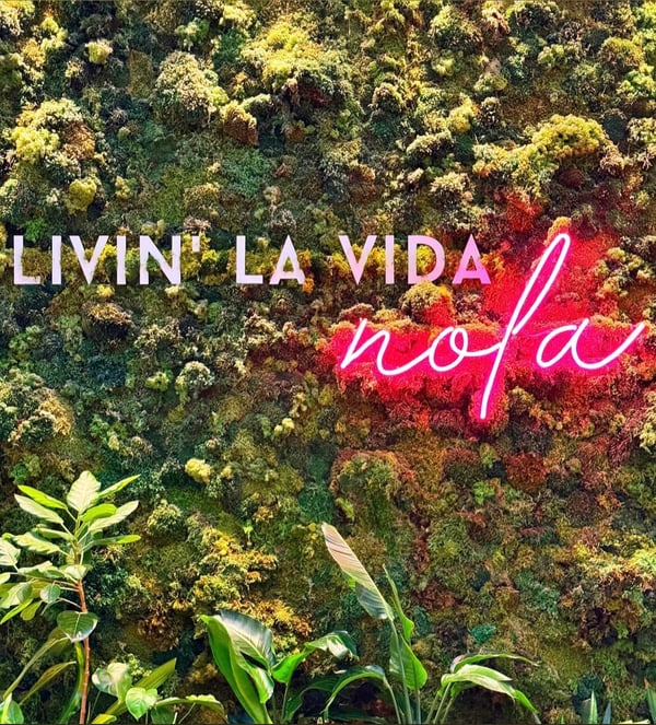 Vibrant green mossy wall backdrop with neon pink 'Livin' La Vida Nola' sign and tropical plants.