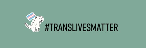 A cute white dinosaur character holding a transgender pride flag on a teal background with the hashtag #translivesmatter.
