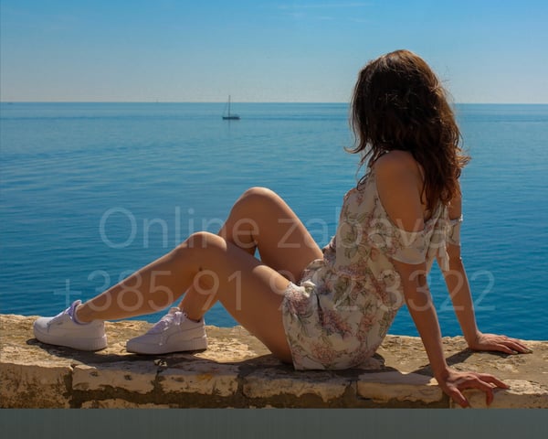 minivulpini's Header