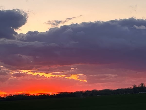 harmonymichelle's Header