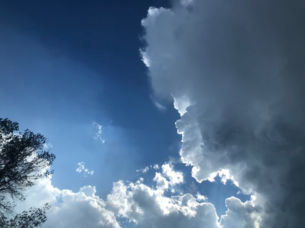 haileyssmith12's Header