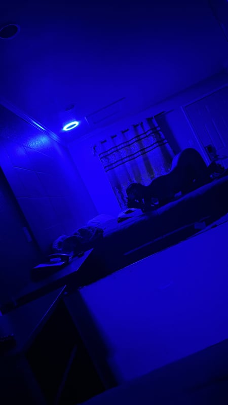 A dimly lit blue-toned bedroom interior with furniture, curtains, and ambient lighting.