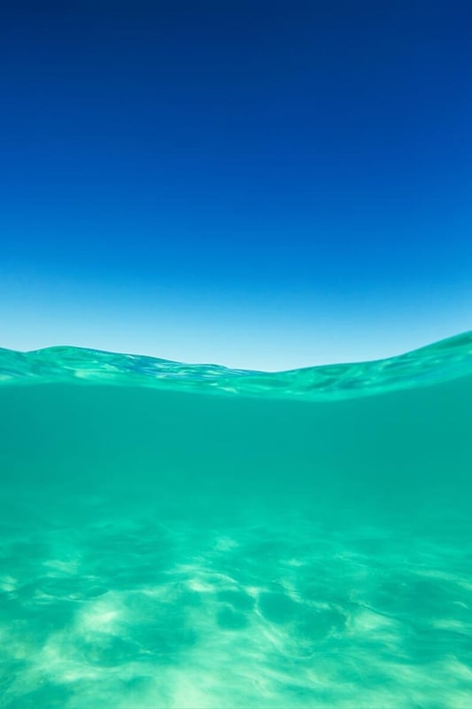 lilmermaidxx's Header