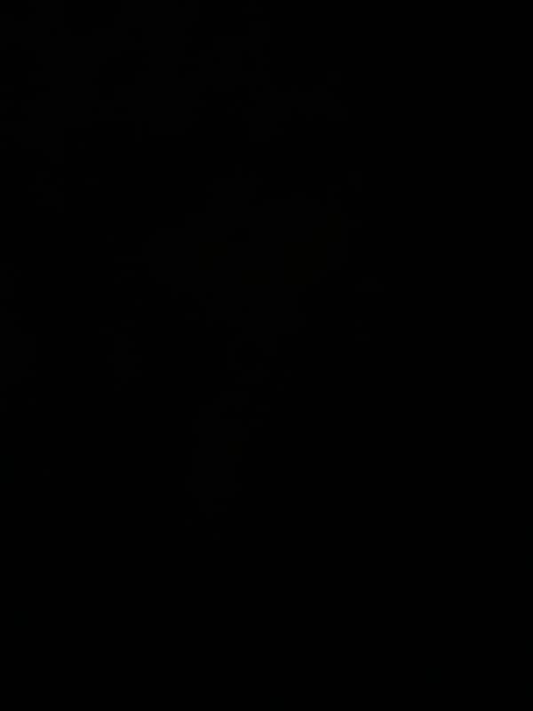 blackbootay's Header