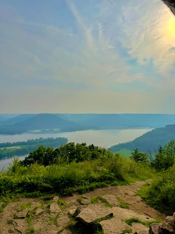 glassescutie24's Header