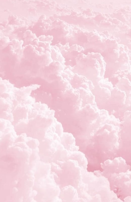 pinkysswonderland's Header