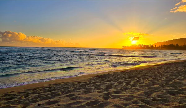 chillypeeps1414's Header