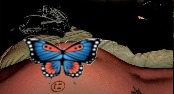 freejenxcougar22's Header