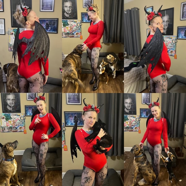 chayshapeshifts's Header