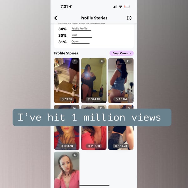 Profile interface showing multiple stories thumbnails of a woman posing in various outfits and settings, with view counts and a milestone banner for one million views.