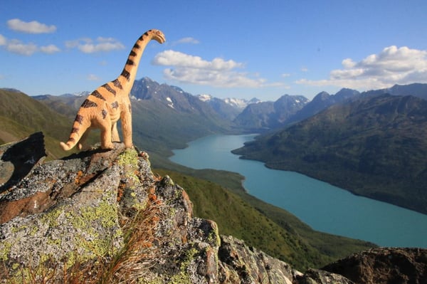 curious.contact2002's Header