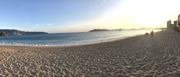 fernanda_vela23's Header