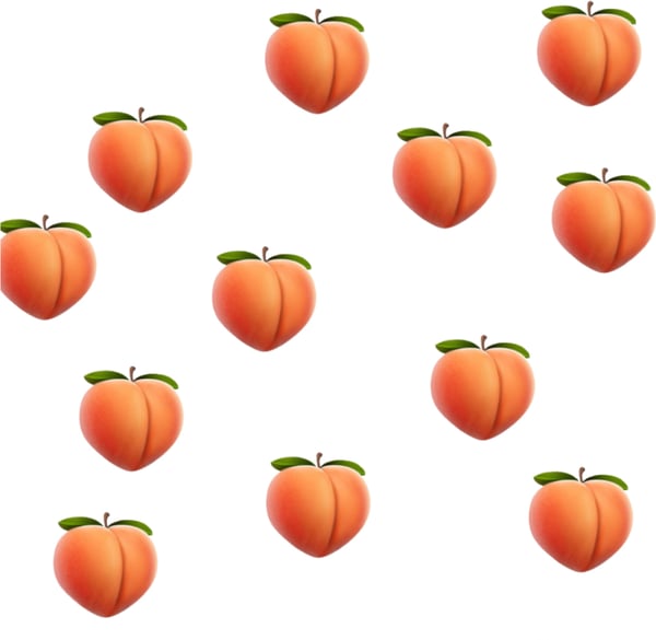 bussy_king's Header