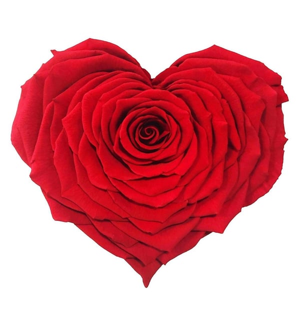 A large red rose shaped into a heart against a white background.