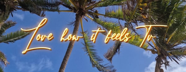 Neon text 'Love how it feels TV' displayed against a tropical palm tree background under a blue sky.