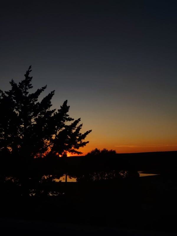Scenic sunset view with trees silhouetted against an orange sky and a body of water in the background.