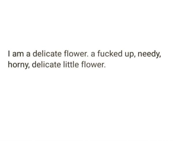 Text overlay on a dark background reading 'I am a delicate flower. A fucked up, needy, horny, delicate little flower.'