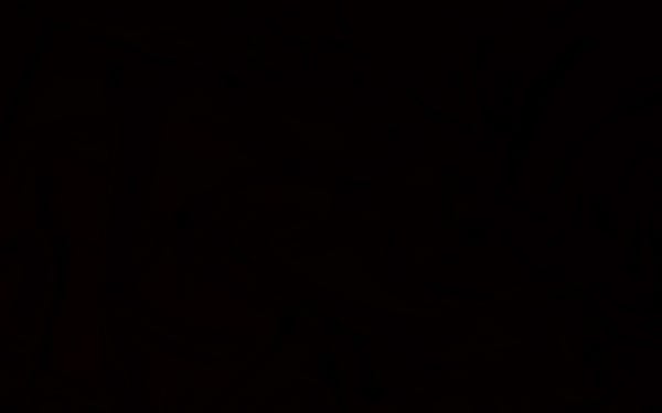 lillybetrose's Header