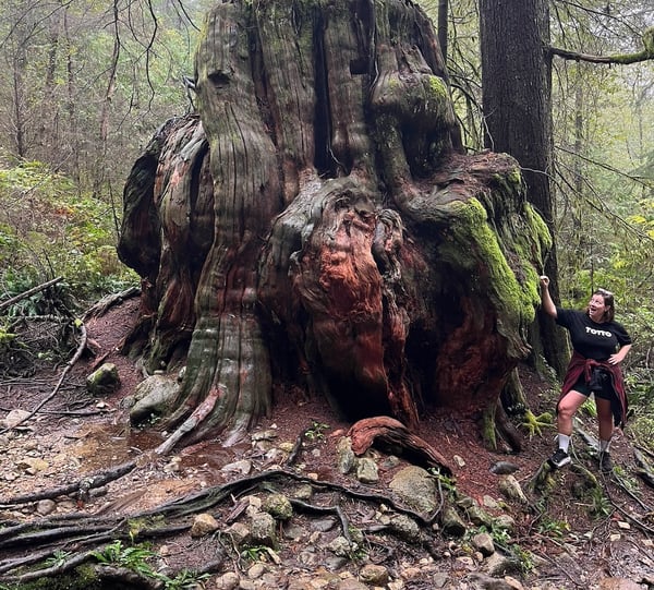 slice_of_salami's Header