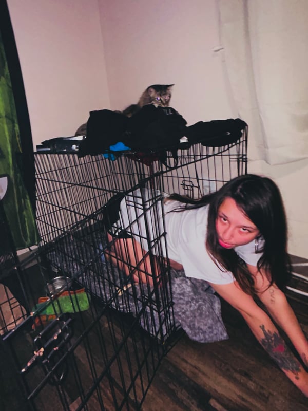 A young woman with brown hair kneels playfully near a large metal cage in an indoor room with a cat nearby and some clothes draped over it.